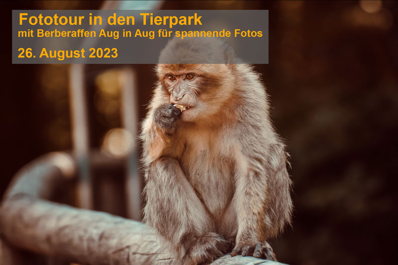 Fototour Tiergarten, 26.08.2023